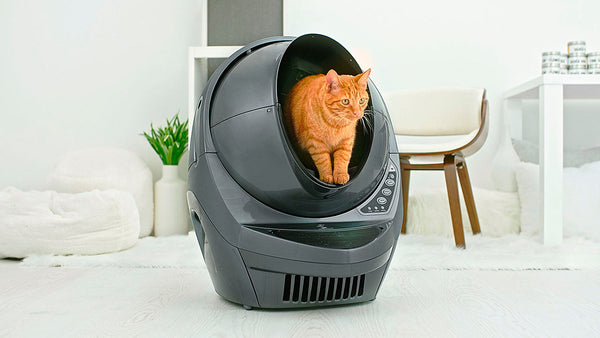 Whisker - Litter-Robot 3 Connect Wi-Fi-Enabled Covered Automatic Self-Cleaning Cat Litter Box - Grey
